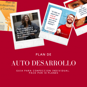 Modelos de Plan de Auto Desarrollos